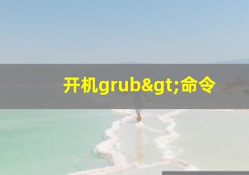 开机grub>命令